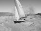 Desert sail