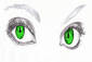 Ever green eyes