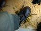 Splat Beetle