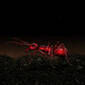 Source Ant (update)
