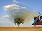 Lonely Tree