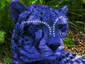 Avatar Cheetah(UPD)