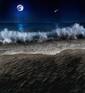 Blue Moon Tide...