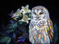 Owl and Flowers