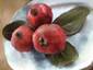 Painted Pomegranates