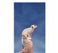 meerkat jump GIF