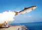 fish missile