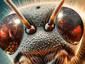 Dancing Bug
