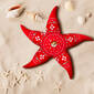 Happy Starfish