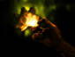 Lifeforce
