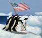 Penguins Raising Flag