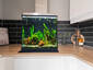 Kitchen with Fish Tank