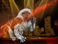 Red Hot Tamarin