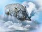 The Cloud Maker