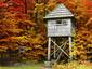 Watch Tower in Fall
