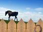 Fence & Uphill Horse