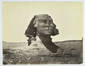 Face of the Sphinx
