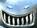 car face