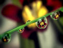 DROPLET VIEW
