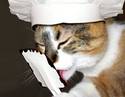 Chef's Meow