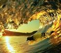 Golden Surf