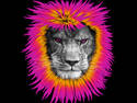 Pink lion tribal