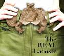 The Real Lacoste