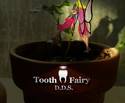 Tooth Fairy Dentistry
