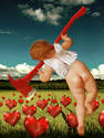 Cupids harvest