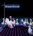 SwanDock, SwanParty