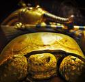 Pharoah's Golden Turtle