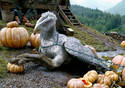 Harry Potter Hippogriff