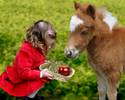 Feeding her pony