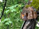 Nice Bird House