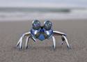 robo crab