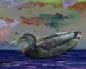 Duck Painting