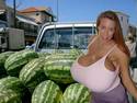 Sweet Melons 4 sale