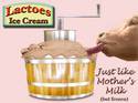 Lactoes Ice Cream