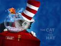 tHE cAT iN tHE hAT