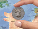 Rare Coin?