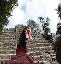 Mayan Resurgence