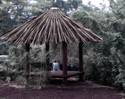 tropical hut