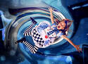 Alice Down Rabbit Hole 