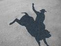 Bull Riding Shadow