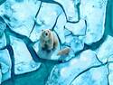 Ice Floes