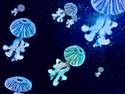 Jellyfish Heavan