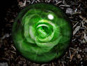  ~ Green Orb ~