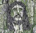 Jesus in a Tree