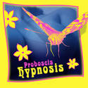 Proboscis Hypnosis 