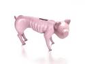 starving piggy bank